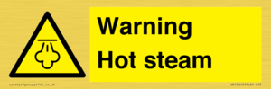 Warning Hot steam
